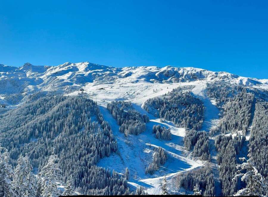 Experience the ultimate winter getaway in this stunning mountain property! Nestled amidst snow-covered peaks and lush evergreen forests, this home offers breathtaking views and unparalleled access to world-class skiing and snowboarding.