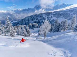 Experience the ultimate winter wonderland in this stunning property! Nestled amidst snow-covered mountains and pristine forests, this home offers breathtaking views and unparalleled tranquility.