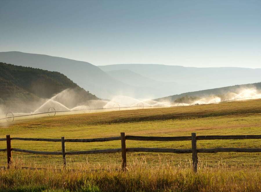 This stunning property features a vast, irrigated field, perfect for agricultural endeavors.