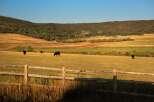 Discover the tranquility of this stunning ranch property, perfect for those seeking a serene escape.