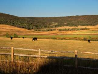 Discover the tranquility of this stunning ranch property, perfect for those seeking a serene escape.