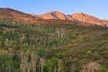 Experience the beauty of nature with this stunning mountain view.
