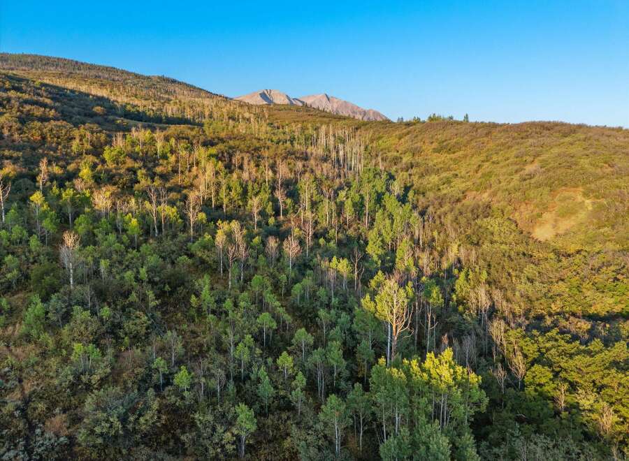 Explore the beauty of nature with this stunning landscape.