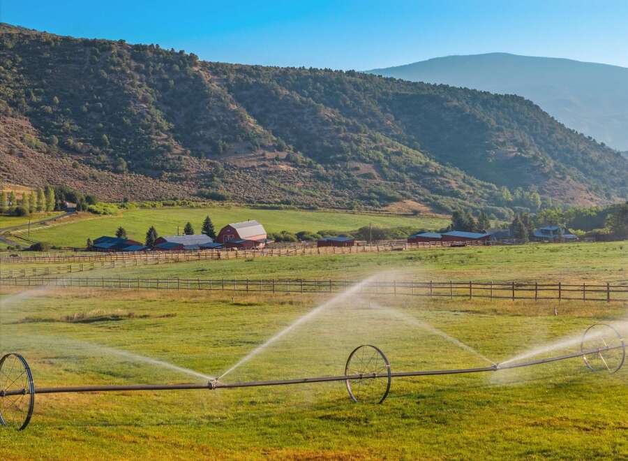 Discover the charm of this picturesque farm, nestled in a serene landscape.