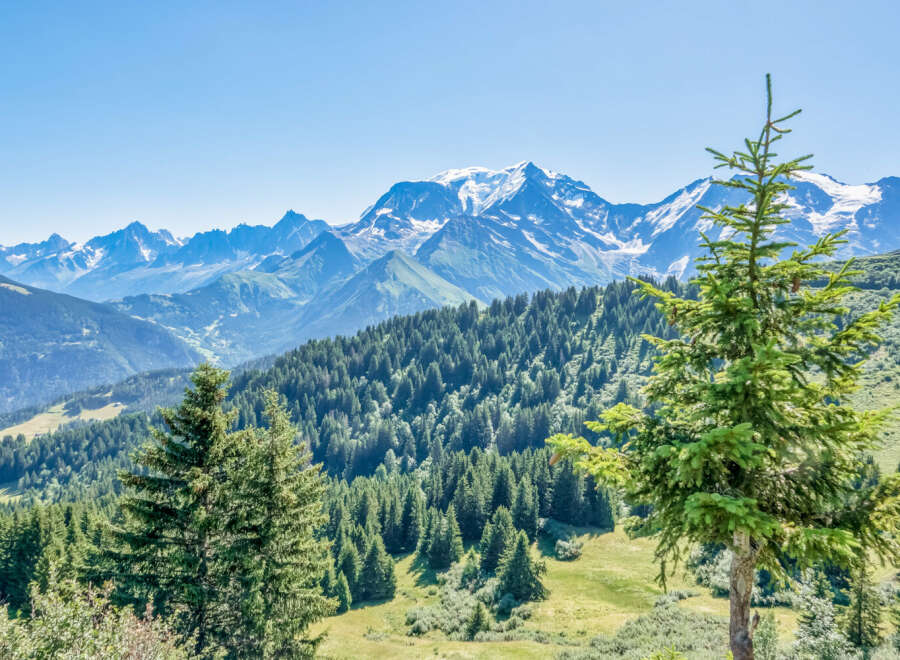 Experience breathtaking mountain views from this stunning property.
