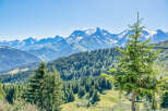 Experience breathtaking mountain views from this stunning property.