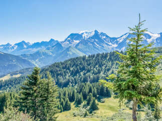 Experience breathtaking mountain views from this stunning property.