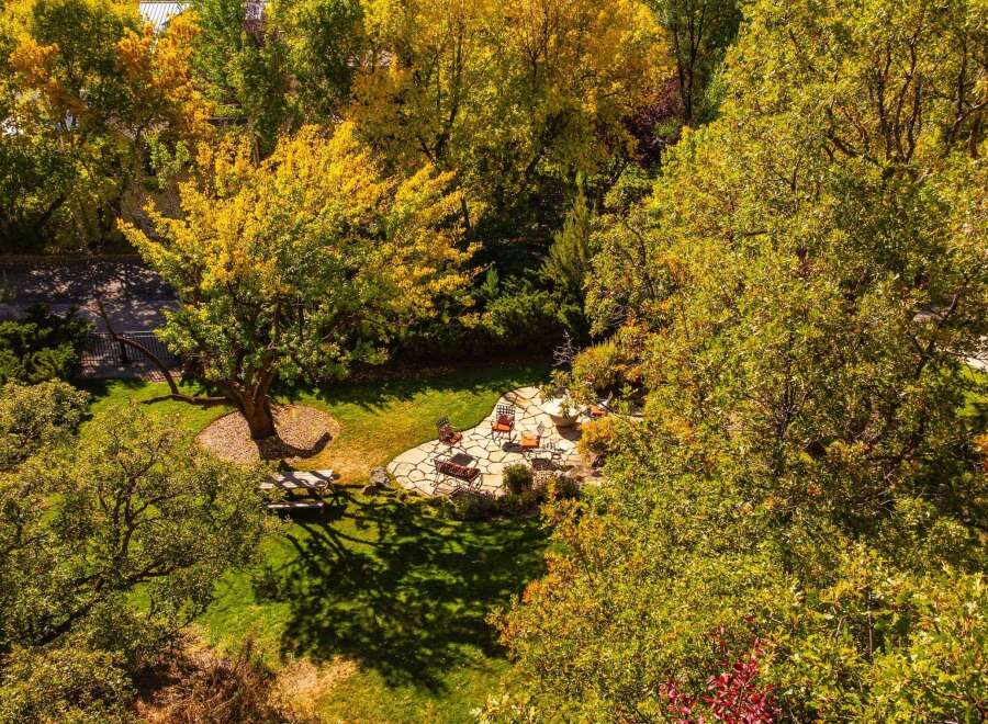 Enjoy the tranquility of this stunning property, surrounded by lush greenery and mature trees.