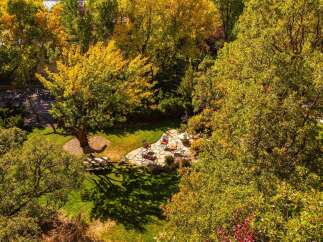 Enjoy the tranquility of this stunning property, surrounded by lush greenery and mature trees.
