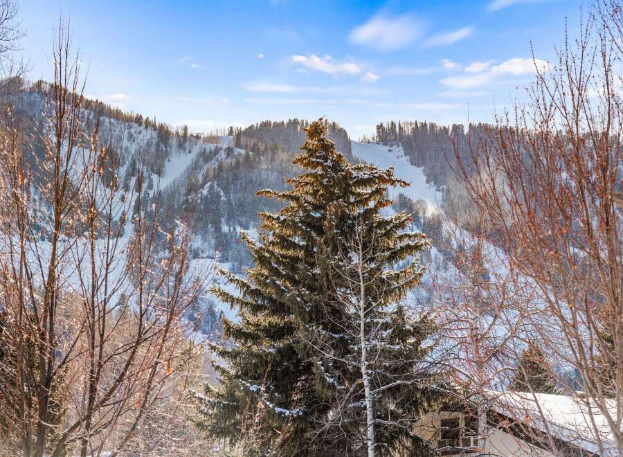 Enjoy breathtaking mountain views from this stunning property.