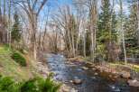 Experience serene living with this stunning property featuring a picturesque river flowing through lush greenery and mature trees.