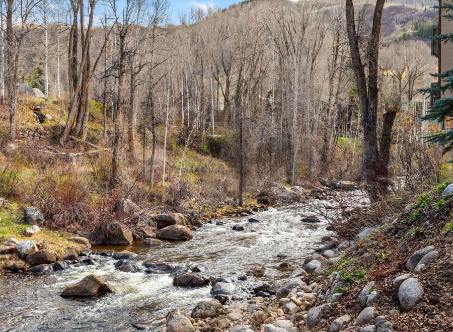 Experience the tranquility of this mountain retreat, where a rushing stream flows through a wooded landscape.