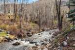 Experience the tranquility of this mountain retreat, where a rushing stream flows through a wooded landscape.