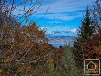 Discover breathtaking views from this stunning property.