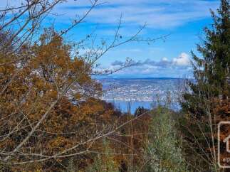 Discover breathtaking views from this stunning property.