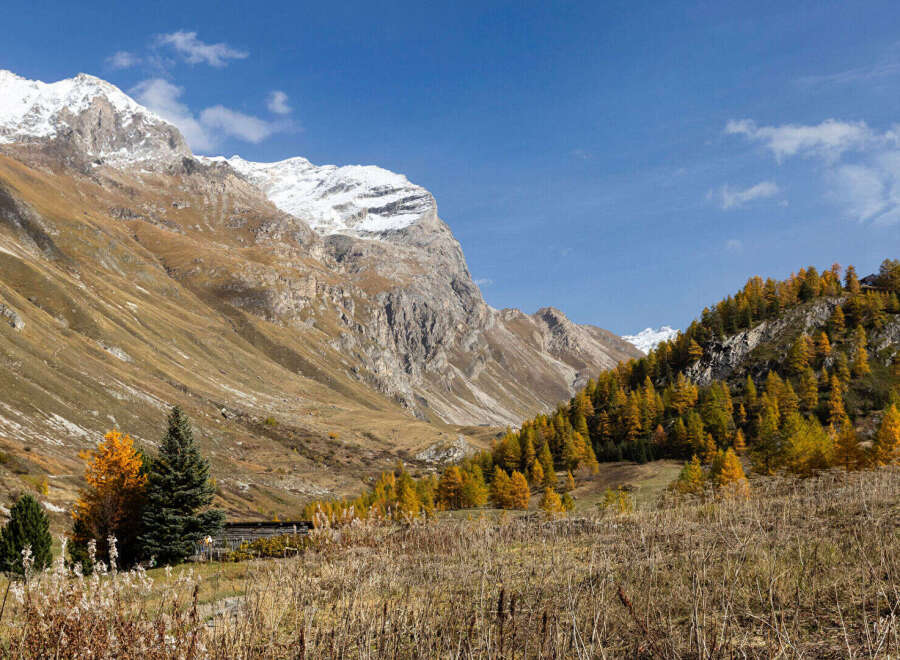 Discover the tranquility of mountain living with this stunning property.
