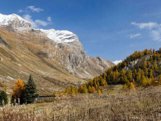 Discover the tranquility of mountain living with this stunning property.