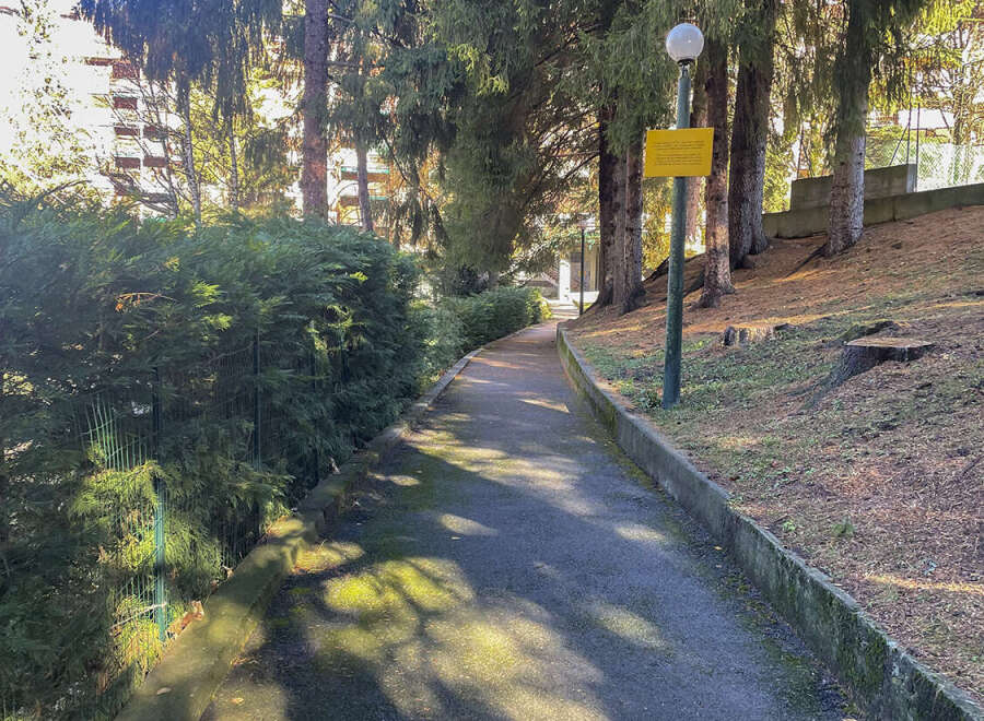 Discover a tranquil pathway surrounded by lush greenery, perfect for leisurely strolls and peaceful moments.