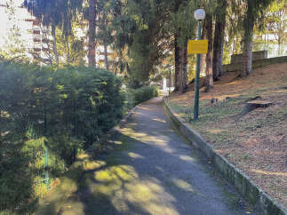 Discover a tranquil pathway surrounded by lush greenery, perfect for leisurely strolls and peaceful moments.