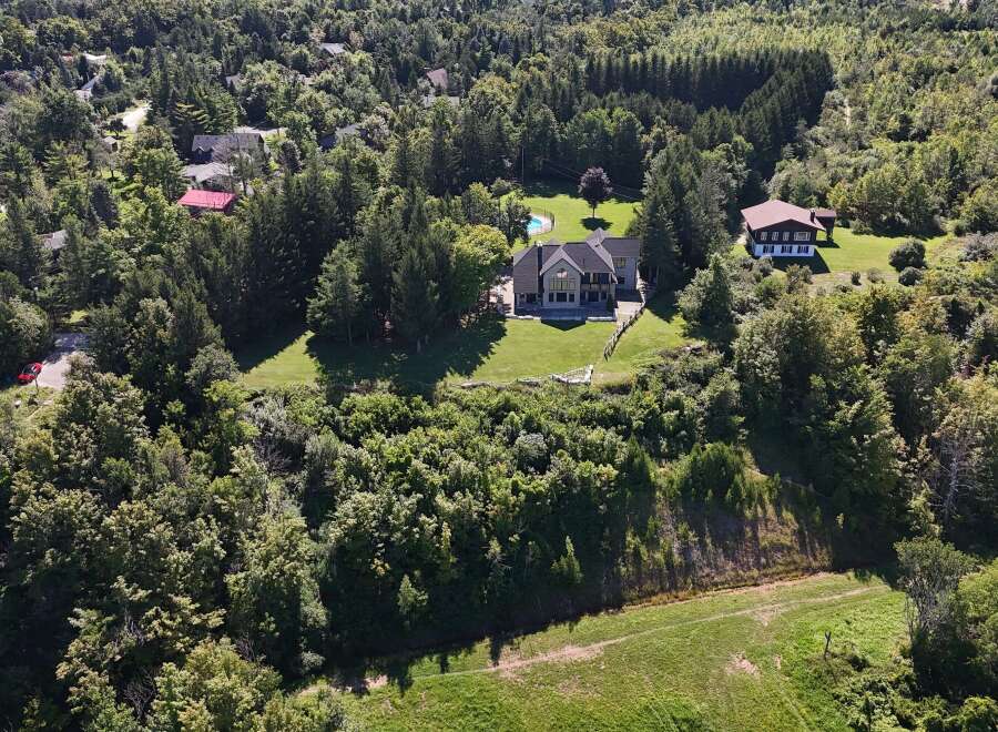 Discover this stunning property nestled amidst lush greenery, featuring a modern home with expansive windows and a private swimming pool.
