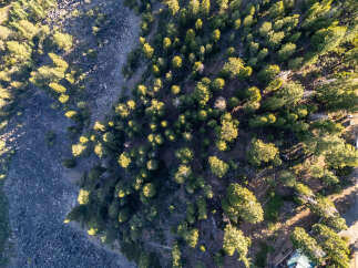 An aerial view showcases a stunning landscape with lush green trees and a rocky terrain.