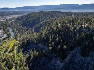 Discover a stunning property nestled in a serene natural setting, surrounded by lush evergreen forests.