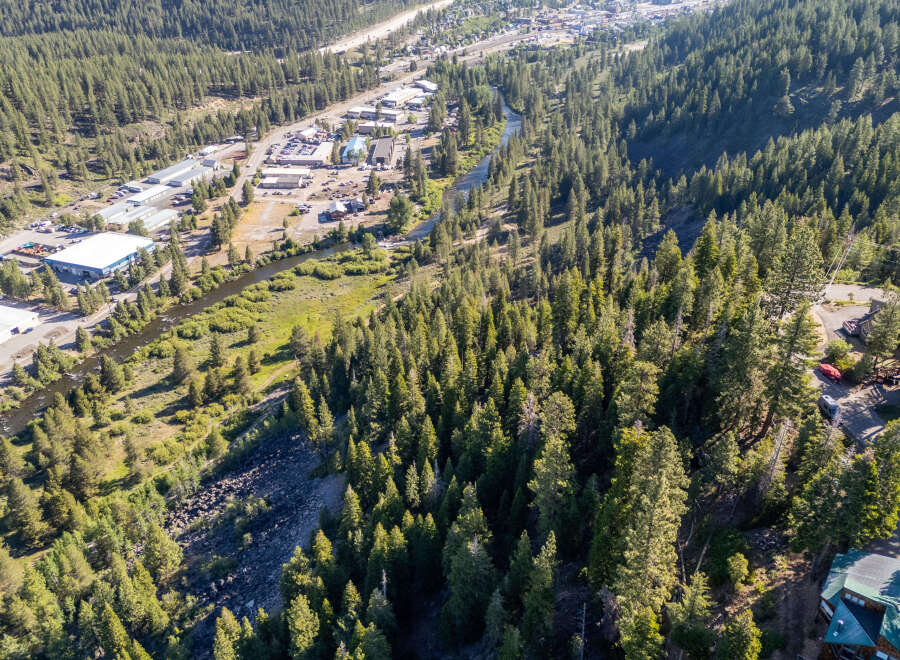 Discover a stunning property nestled amidst a lush, green forest.