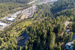 Discover a stunning property nestled amidst a lush, green forest.
