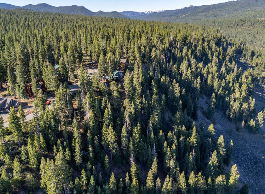 Nestled amidst a lush forest, this property offers unparalleled privacy and tranquility.