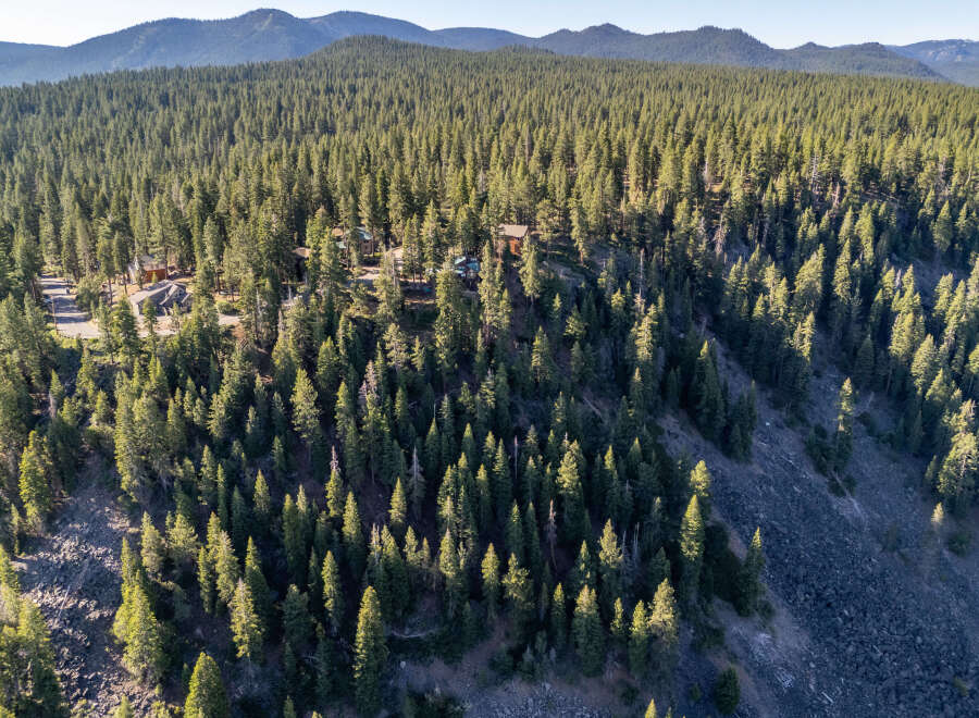 Nestled amidst a lush forest, this property offers a serene escape with stunning natural views.