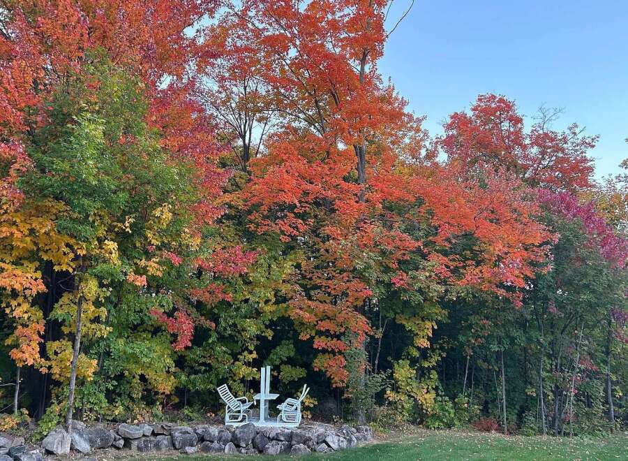 Experience the beauty of nature with this stunning property! The vibrant fall foliage creates a picturesque backdrop for relaxation and enjoyment.