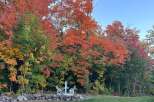 Experience the beauty of nature with this stunning property! The vibrant fall foliage creates a picturesque backdrop for relaxation and enjoyment.