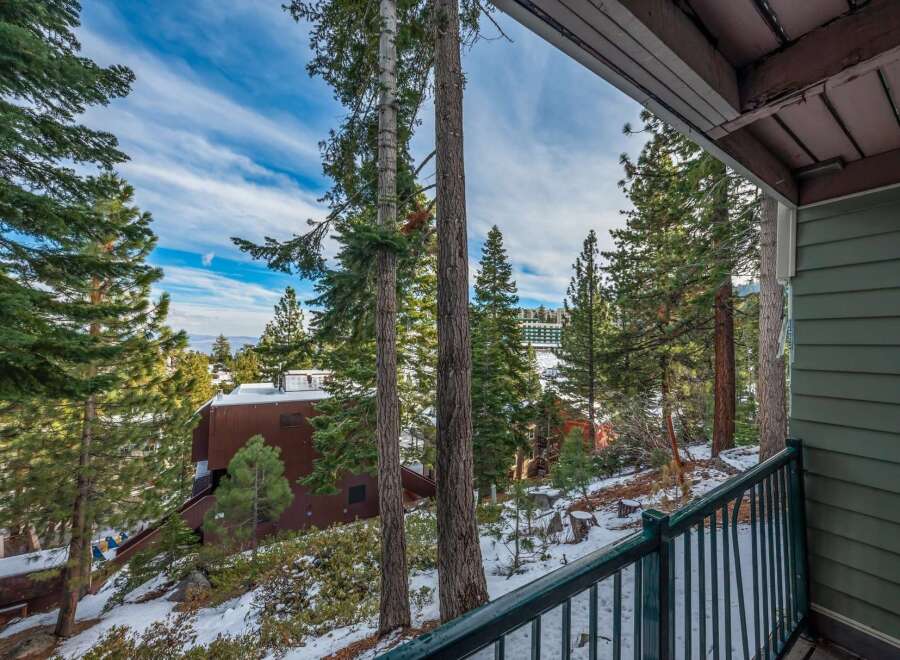 Enjoy breathtaking views from this stunning property, nestled amidst towering trees and a serene winter landscape.