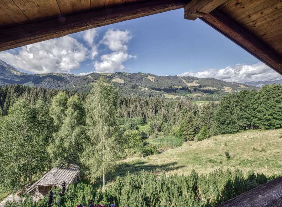 Experience breathtaking mountain views from this charming property.