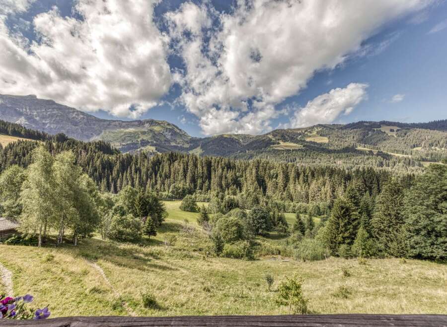 Nestled in the heart of nature, this property offers breathtaking views of the mountains and lush greenery.