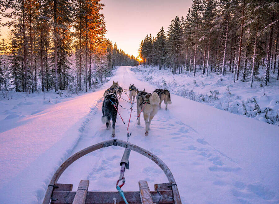 Experience the magic of winter with this stunning property! Imagine waking up to breathtaking views of snow-covered landscapes and the thrill of dog sledding right outside your door.