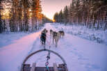 Experience the magic of winter with this stunning property! Imagine waking up to breathtaking views of snow-covered landscapes and the thrill of dog sledding right outside your door.
