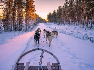 Experience the magic of winter with this stunning property! Imagine waking up to breathtaking views of snow-covered landscapes and the thrill of dog sledding right outside your door.