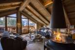 Experience the epitome of luxury living in this stunning chalet, boasting a cozy ambiance with a modern fireplace.