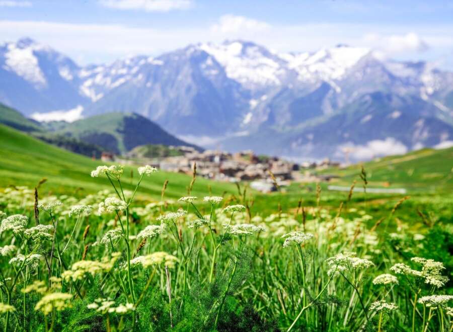 Discover breathtaking mountain views from this stunning property.