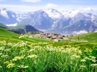 Discover breathtaking mountain views from this stunning property.