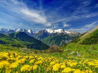 Experience breathtaking mountain views from this stunning property.