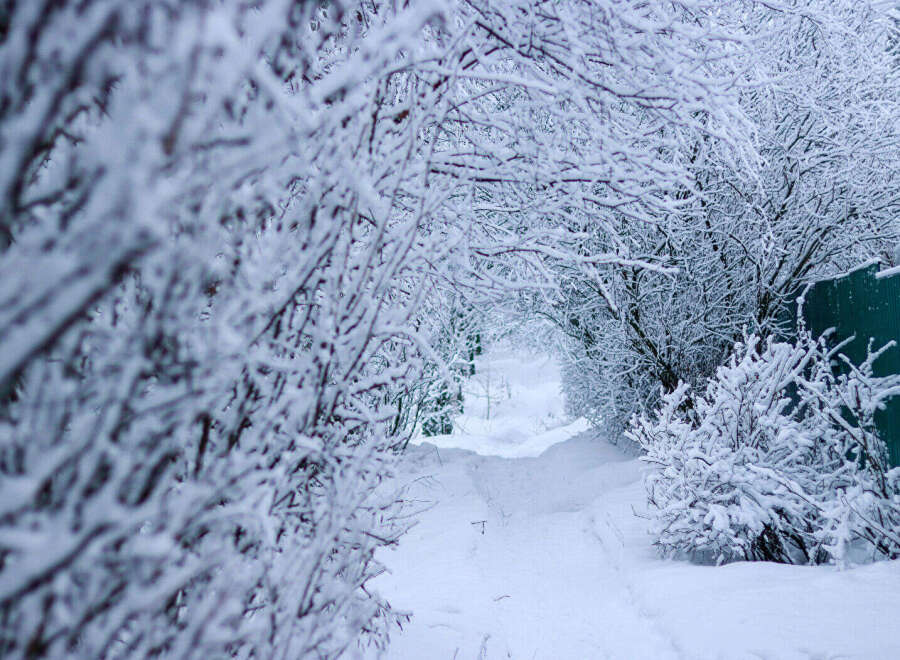 Imagine your dream home nestled in this winter wonderland! This property boasts stunning views of snow-covered trees and a peaceful, secluded path.