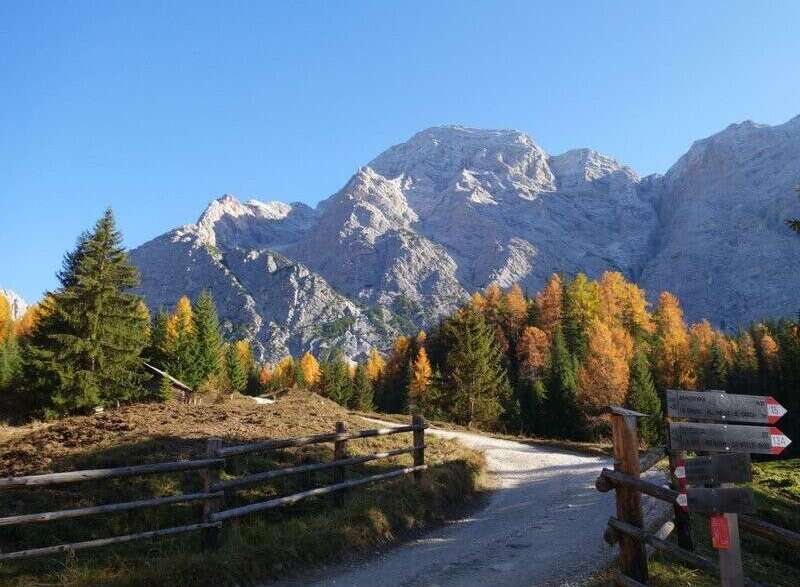 Explore the breathtaking beauty of this mountain property, surrounded by vibrant autumn foliage and towering peaks.