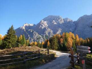 Explore the breathtaking beauty of this mountain property, surrounded by vibrant autumn foliage and towering peaks.