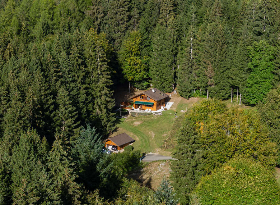 Nestled in a lush, green forest, this charming wooden cabin offers a serene escape.