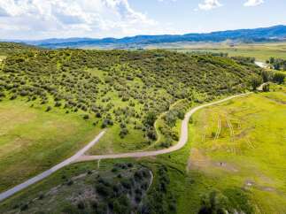 Discover the beauty of this expansive property, perfect for building your dream home or creating a serene retreat.