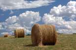 Experience the tranquility of rural living with this picturesque property.