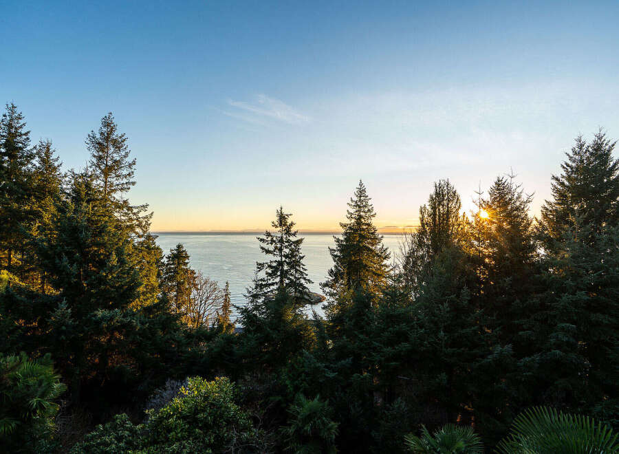 Enjoy breathtaking ocean views from this stunning property, nestled amongst lush greenery.