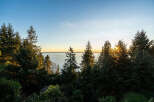 Enjoy breathtaking ocean views from this stunning property, nestled amongst lush greenery.